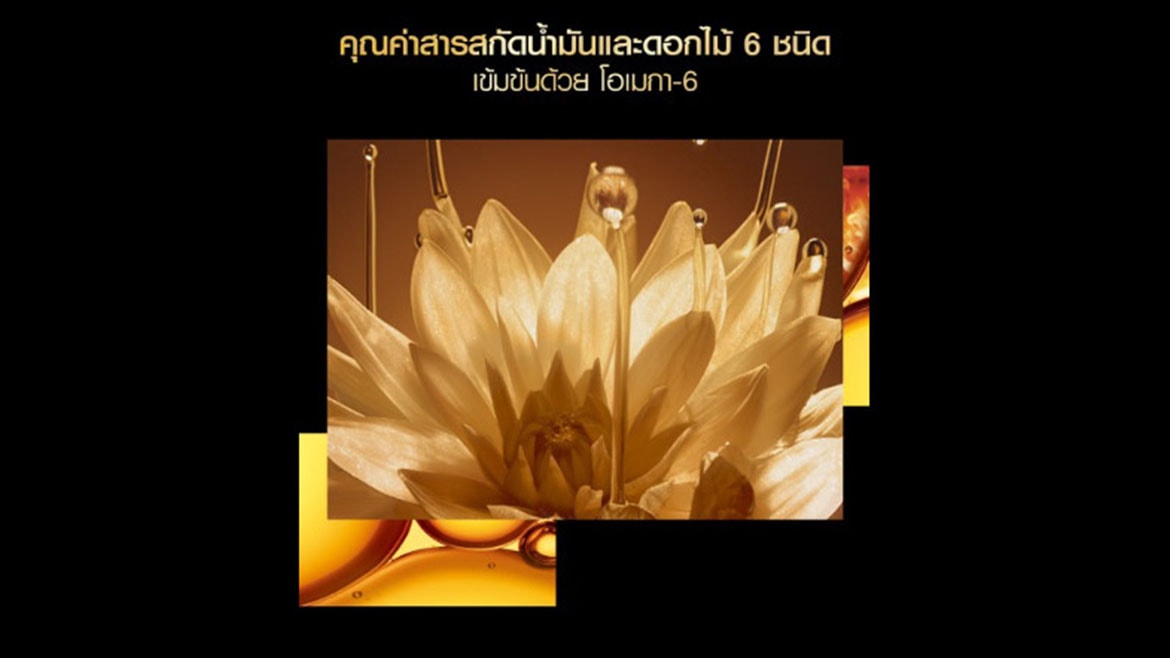 ดอกไม้ 6 ชนิด ลอรีอัล ปารีส เอลแซฟ เอ็กซ์ตรอว์ดินารี่ ออยล์ เอ็กซ์ตร้า ริช