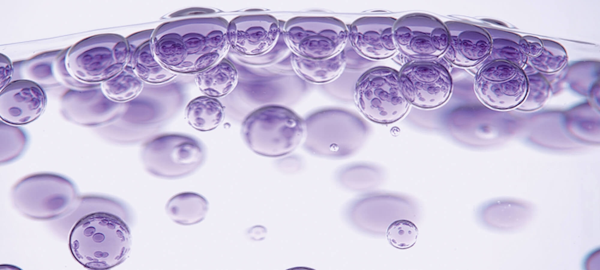 ไฮยาลูรอนเซรั่ม