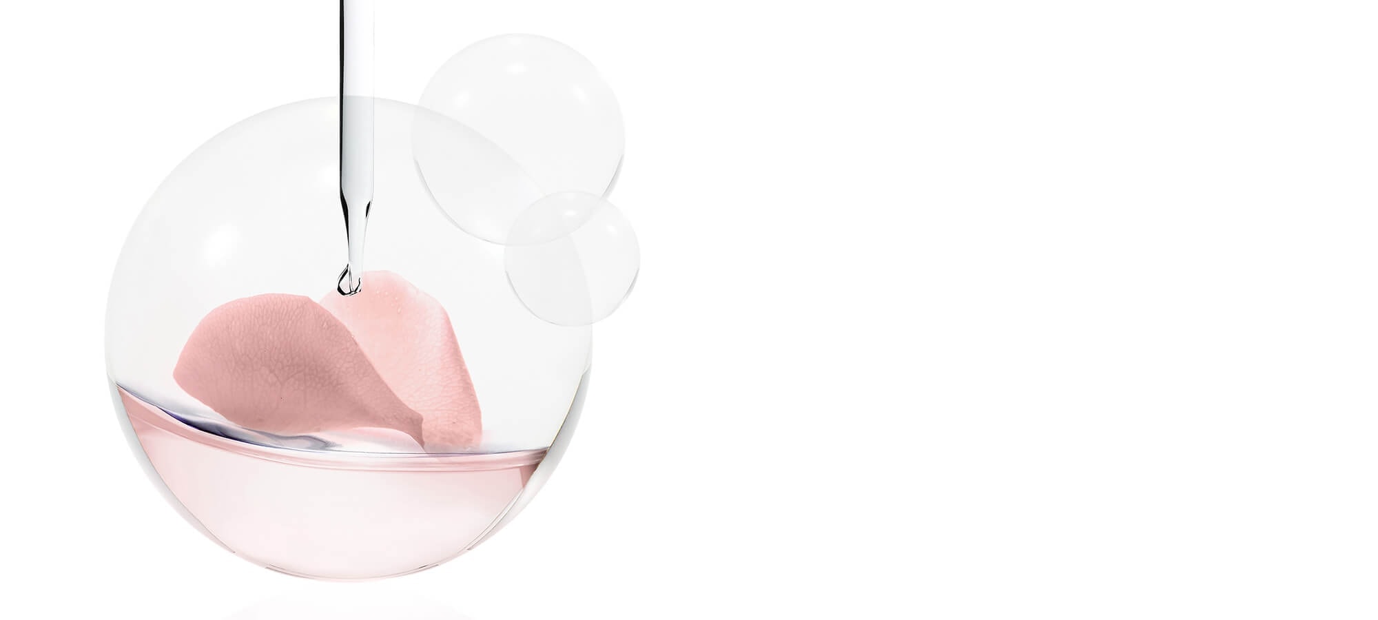 PEONY_POLYPHENOLS
