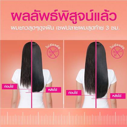 DL SPCD Web 3