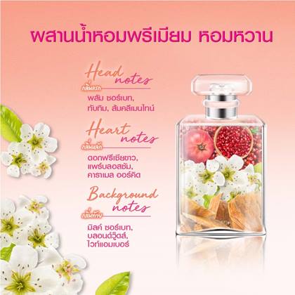 DL SPCD Web 5