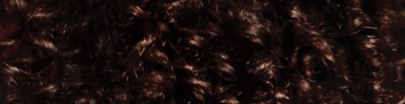 Q1 Coily 580x150 01 04